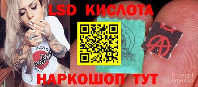 ГАЛЛЮЦИНОГЕННЫЕ ГРИБЫ Балахна